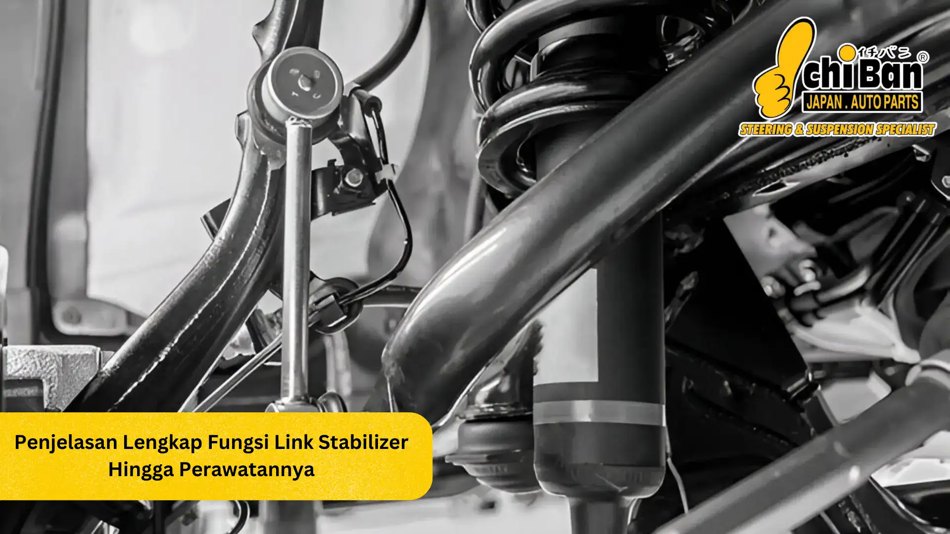 fungsi link stabilizer